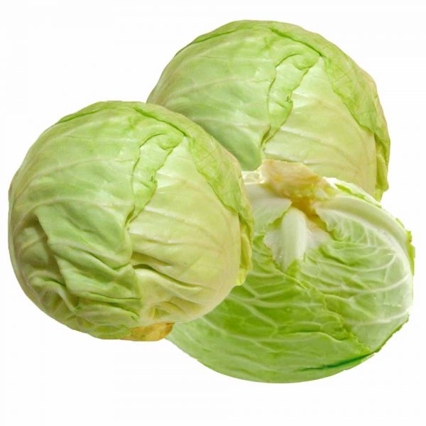 cabbage_albaddan